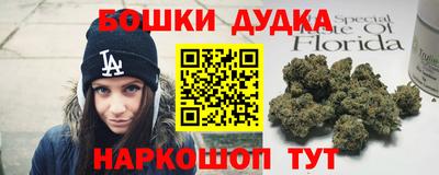 прущие грибы Новозыбков