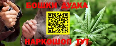 прущие грибы Новозыбков