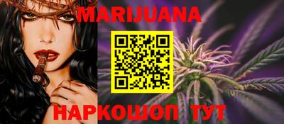 прущие грибы Новозыбков