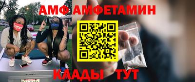 прущие грибы Новозыбков